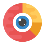 Data Visualizations Icon